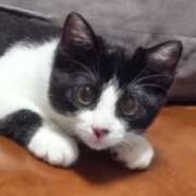 ヒメ日記 2025/10/27 01:41 投稿 ようこ 人妻倶楽部　ひまわり