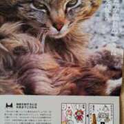 ヒメ日記 2025/10/31 20:56 投稿 ようこ 人妻倶楽部　ひまわり