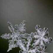 ヒメ日記 2025/11/01 04:31 投稿 ようこ 人妻倶楽部　ひまわり