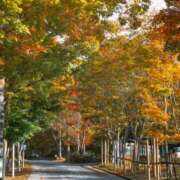 ヒメ日記 2025/11/01 22:06 投稿 ようこ 人妻倶楽部　ひまわり