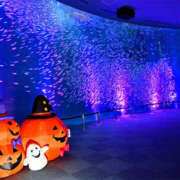 ヒメ日記 2025/11/02 01:09 投稿 ようこ 人妻倶楽部　ひまわり