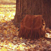 ヒメ日記 2025/11/02 04:16 投稿 ようこ 人妻倶楽部　ひまわり