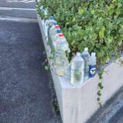 ヒメ日記 2025/11/08 01:52 投稿 ようこ 人妻倶楽部　ひまわり