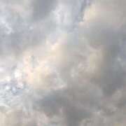 ヒメ日記 2025/11/12 17:16 投稿 ようこ 人妻倶楽部　ひまわり