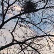 ヒメ日記 2025/11/22 18:01 投稿 ようこ 人妻倶楽部　ひまわり