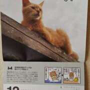 ヒメ日記 2025/12/01 14:50 投稿 ようこ 人妻倶楽部　ひまわり