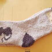 ヒメ日記 2025/12/10 22:10 投稿 ようこ 人妻倶楽部　ひまわり