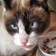 ヒメ日記 2025/12/18 12:30 投稿 ようこ 人妻倶楽部　ひまわり