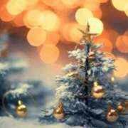 ヒメ日記 2025/12/24 11:58 投稿 ようこ 人妻倶楽部　ひまわり