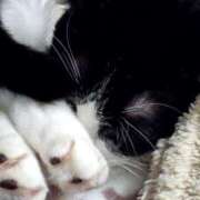 ヒメ日記 2025/12/25 13:07 投稿 ようこ 人妻倶楽部　ひまわり