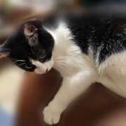 ヒメ日記 2026/01/04 22:39 投稿 ようこ 人妻倶楽部　ひまわり