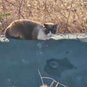 ヒメ日記 2026/01/11 00:10 投稿 ようこ 人妻倶楽部　ひまわり