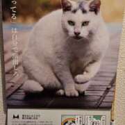 ヒメ日記 2026/01/12 03:20 投稿 ようこ 人妻倶楽部　ひまわり