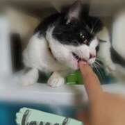 ヒメ日記 2026/01/15 17:08 投稿 ようこ 人妻倶楽部　ひまわり