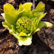 ヒメ日記 2026/01/20 18:20 投稿 ようこ 人妻倶楽部　ひまわり