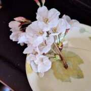 ヒメ日記 2026/01/27 15:17 投稿 ようこ 人妻倶楽部　ひまわり