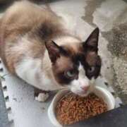 ヒメ日記 2026/02/28 21:10 投稿 ようこ 人妻倶楽部　ひまわり