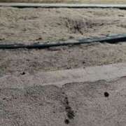 ヒメ日記 2026/03/01 00:20 投稿 ようこ 人妻倶楽部　ひまわり