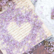 ヒメ日記 2026/03/02 03:30 投稿 ようこ 人妻倶楽部　ひまわり