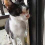 ヒメ日記 2026/03/02 21:50 投稿 ようこ 人妻倶楽部　ひまわり