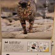 ヒメ日記 2026/03/04 11:50 投稿 ようこ 人妻倶楽部　ひまわり