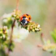 ヒメ日記 2026/03/05 18:17 投稿 ようこ 人妻倶楽部　ひまわり