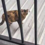 ヒメ日記 2026/03/06 19:32 投稿 ようこ 人妻倶楽部　ひまわり