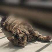 ヒメ日記 2026/03/13 17:43 投稿 ようこ 人妻倶楽部　ひまわり