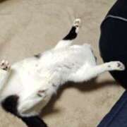 ヒメ日記 2026/03/22 04:36 投稿 ようこ 人妻倶楽部　ひまわり