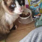 ヒメ日記 2026/03/23 17:54 投稿 ようこ 人妻倶楽部　ひまわり