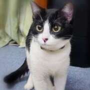 ヒメ日記 2026/03/25 21:54 投稿 ようこ 人妻倶楽部　ひまわり