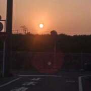 ヒメ日記 2026/03/29 03:21 投稿 ようこ 人妻倶楽部　ひまわり