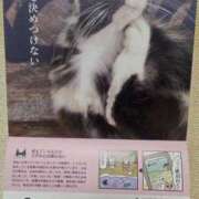 ヒメ日記 2026/04/01 22:37 投稿 ようこ 人妻倶楽部　ひまわり