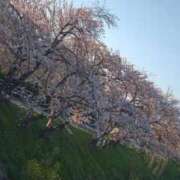 ヒメ日記 2026/04/03 21:50 投稿 ようこ 人妻倶楽部　ひまわり