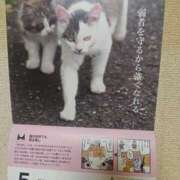 ヒメ日記 2026/05/09 22:54 投稿 ようこ 人妻倶楽部　ひまわり