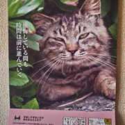ヒメ日記 2026/07/05 18:52 投稿 ようこ 人妻倶楽部　ひまわり