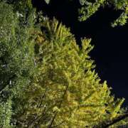 ヒメ日記 2025/11/16 17:46 投稿 YUKI Salvador (サルバドール)