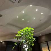 ヒメ日記 2025/11/19 19:56 投稿 YUKI Salvador (サルバドール)