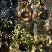 ヒメ日記 2025/12/02 17:46 投稿 YUKI Salvador (サルバドール)