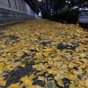 ヒメ日記 2025/12/06 19:16 投稿 YUKI Salvador (サルバドール)