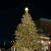 ヒメ日記 2025/12/12 17:06 投稿 YUKI Salvador (サルバドール)