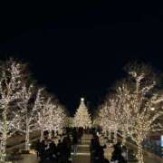 ヒメ日記 2025/12/16 17:16 投稿 YUKI Salvador (サルバドール)