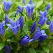 ヒメ日記 2025/09/15 09:21 投稿 エデン☆伝説の幕明け～ じゃむじゃむ