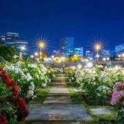 ヒメ日記 2025/12/17 23:11 投稿 エデン☆伝説の幕明け～ じゃむじゃむ