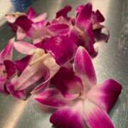 ヒメ日記 2025/11/16 15:36 投稿 長濱 みのり 人妻セレブ宮殿