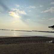 ヒメ日記 2025/09/26 15:58 投稿 天音(あまね) ユカノモリ