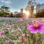 ヒメ日記 2025/09/13 14:25 投稿 なみ 待ちナビ