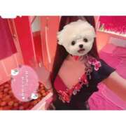 ヒメ日記 2025/10/08 11:09 投稿 ひなた いきなりラブ彼女