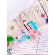 ヒメ日記 2025/10/09 12:09 投稿 ひなた いきなりラブ彼女