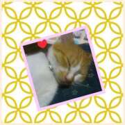 ヒメ日記 2025/09/19 13:25 投稿 工藤 なつき(クドウ ナツキ) 翡翠の夢